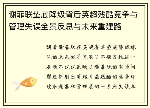 谢菲联垫底降级背后英超残酷竞争与管理失误全景反思与未来重建路 谢菲联垫底降级背后英超残酷竞争与管理失误全景反思与未来重建路