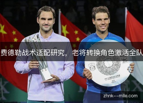 费德勒战术适配研究，老将转换角色激活全队